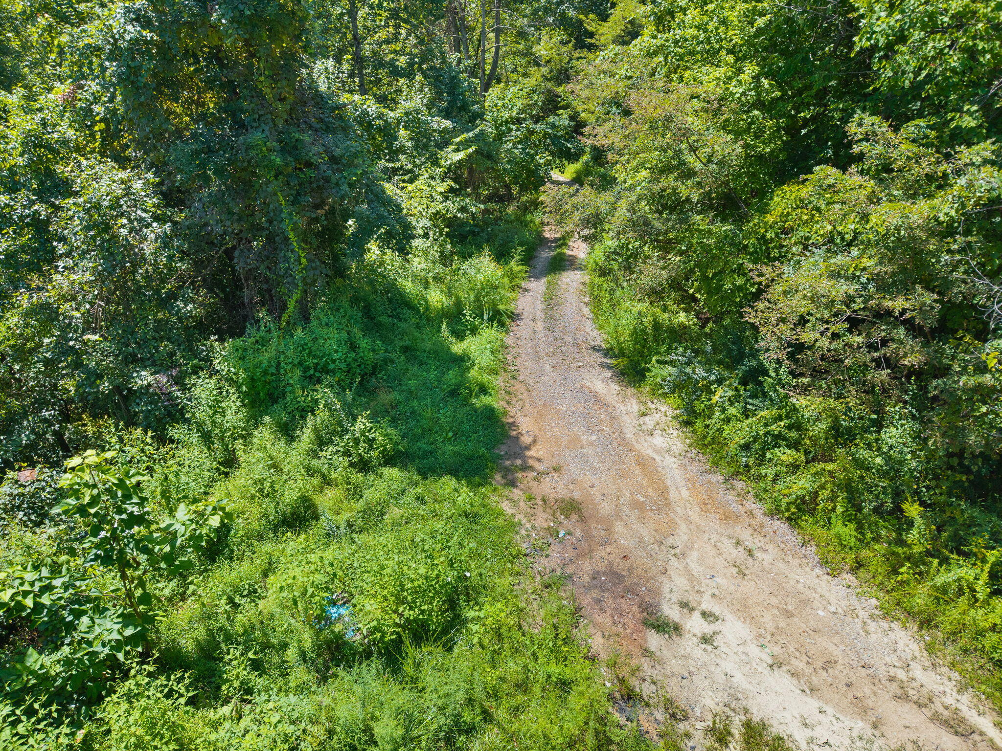 0 Bill Dee Br Road Kite, KY 41828 - Photo 4 of 45 57-web-or-mls-DJI_20260825124726_0804_D