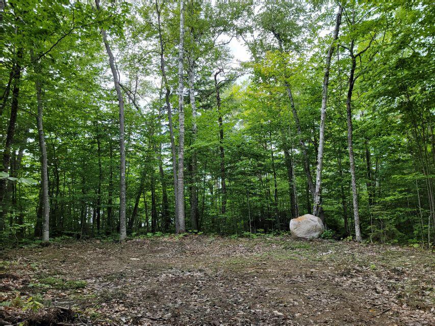 1 Railroad Bed Rd Lake View Milo, ME 04463 - Photo 8 of 27 clearing