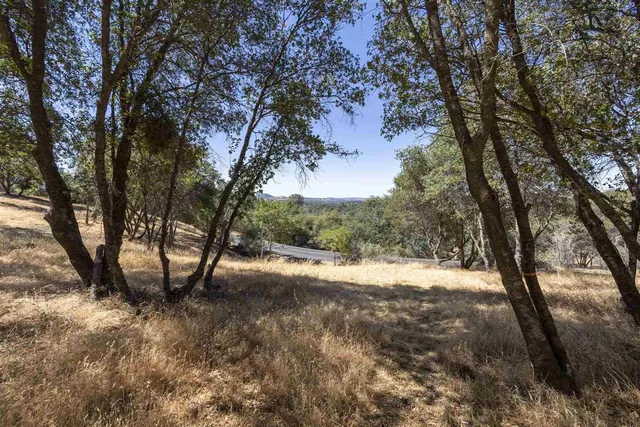 a view of dirt yard with a tree