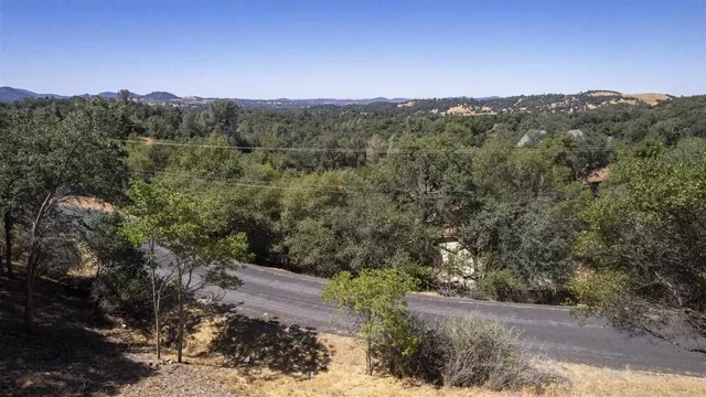 a view of a city with lush green forest