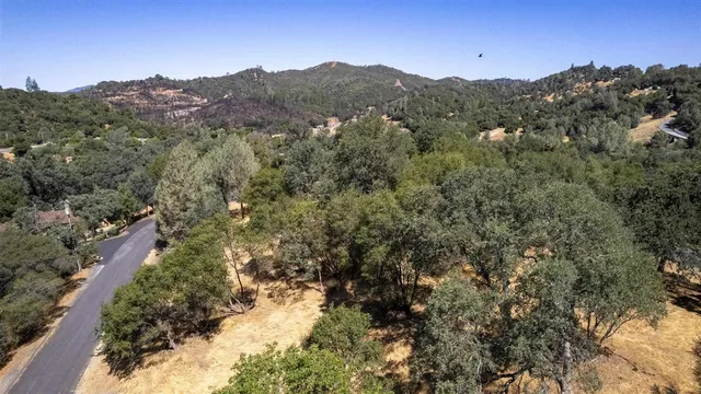 a view of a forest with mountains in the background