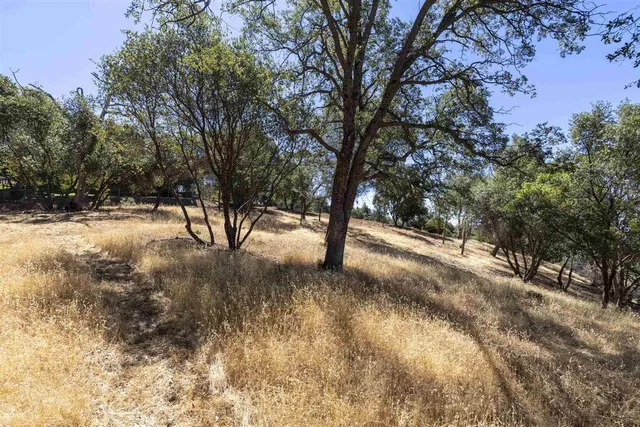 a view of dirt yard with a tree