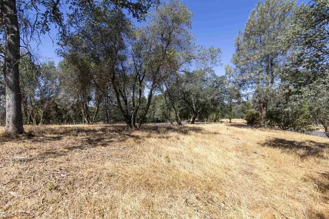 a view of empty space with trees