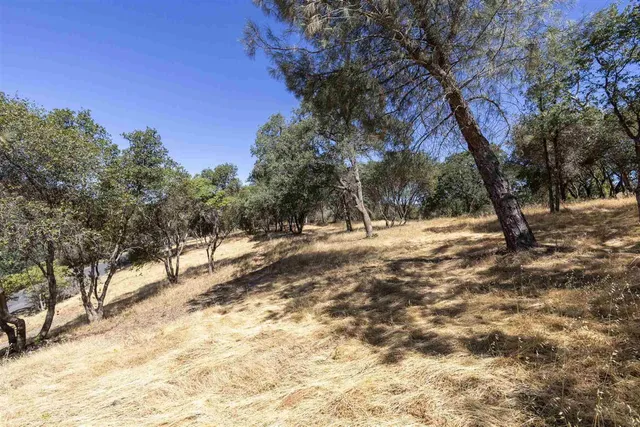 a view of outdoor space with trees
