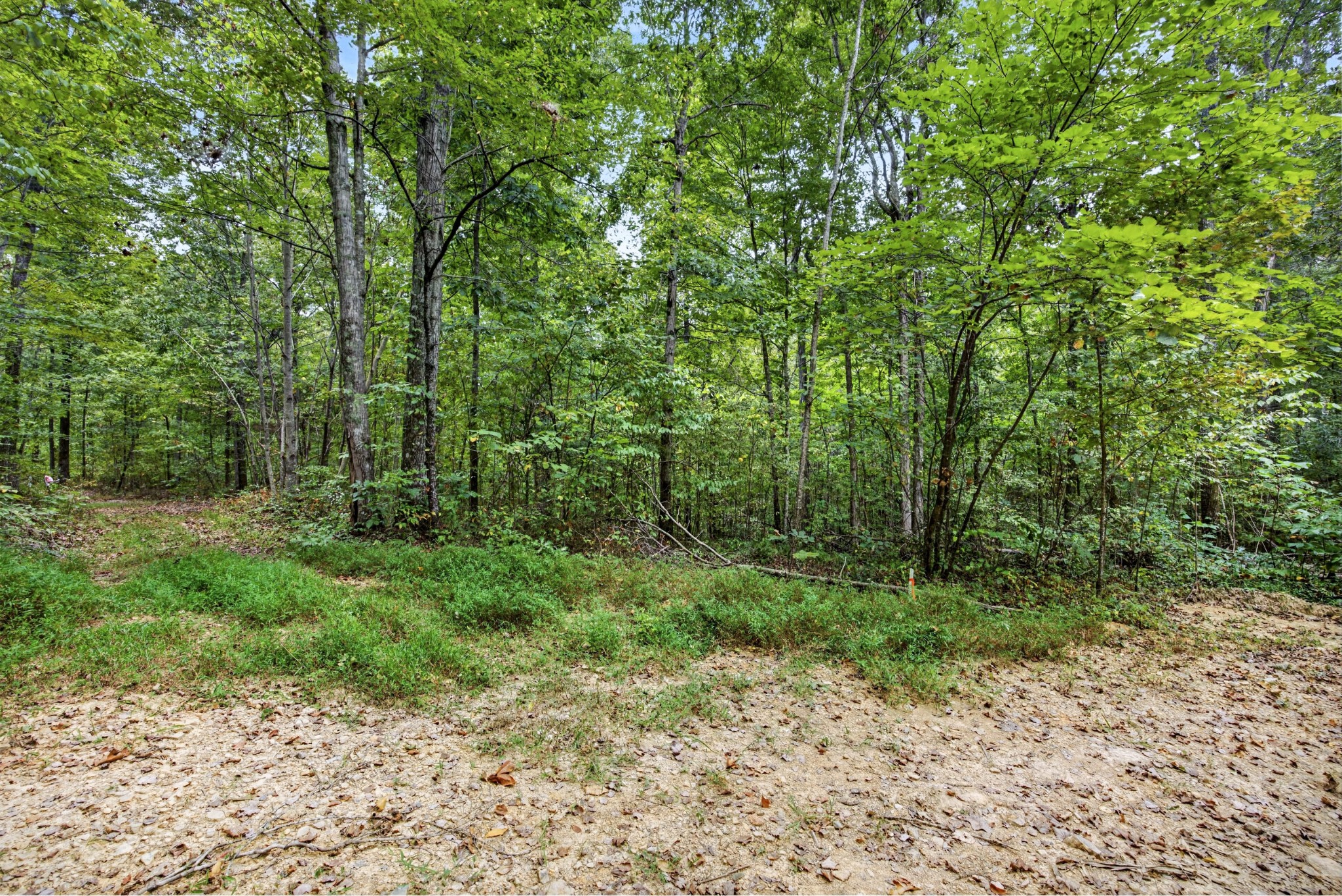 0 Timber Ridge Lane Celina, TN 38551 - Photo 6 of 20 Gallery Image 6