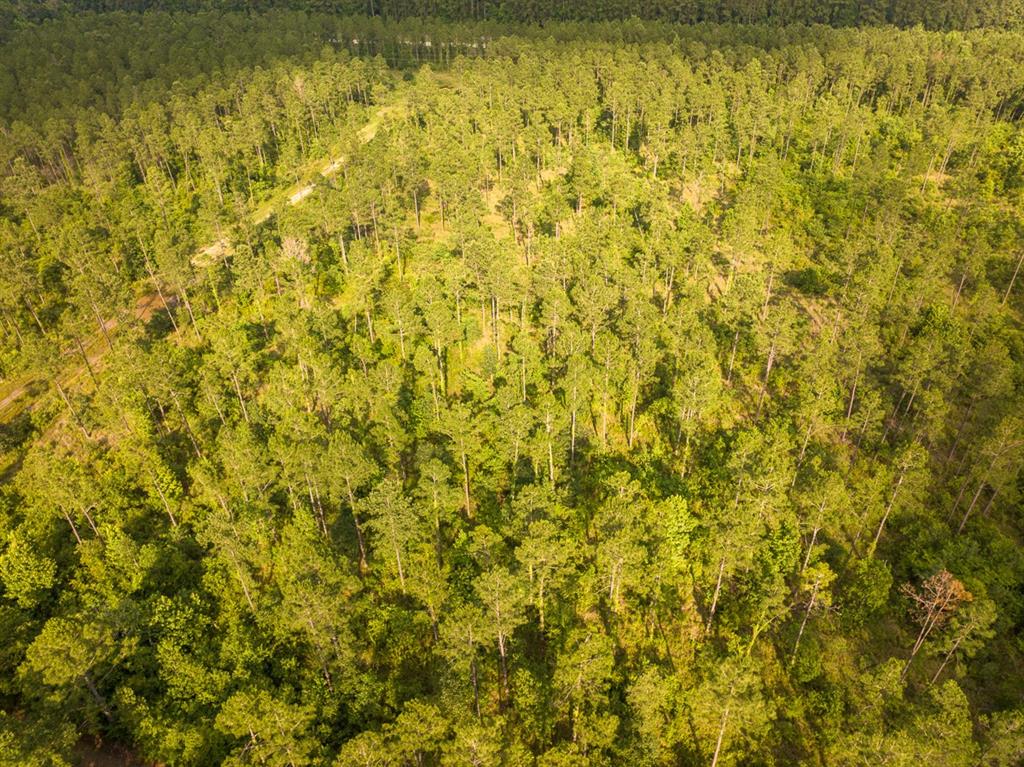 0 Highway 165 Kinder, LA 70648 - Photo 11 of 11