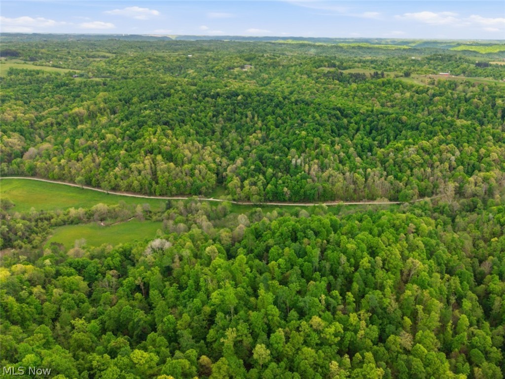 0 Pratts Run Road Woodsfield, OH 43793 - Photo 9 of 24