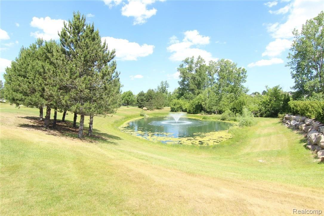 Pond.JPG