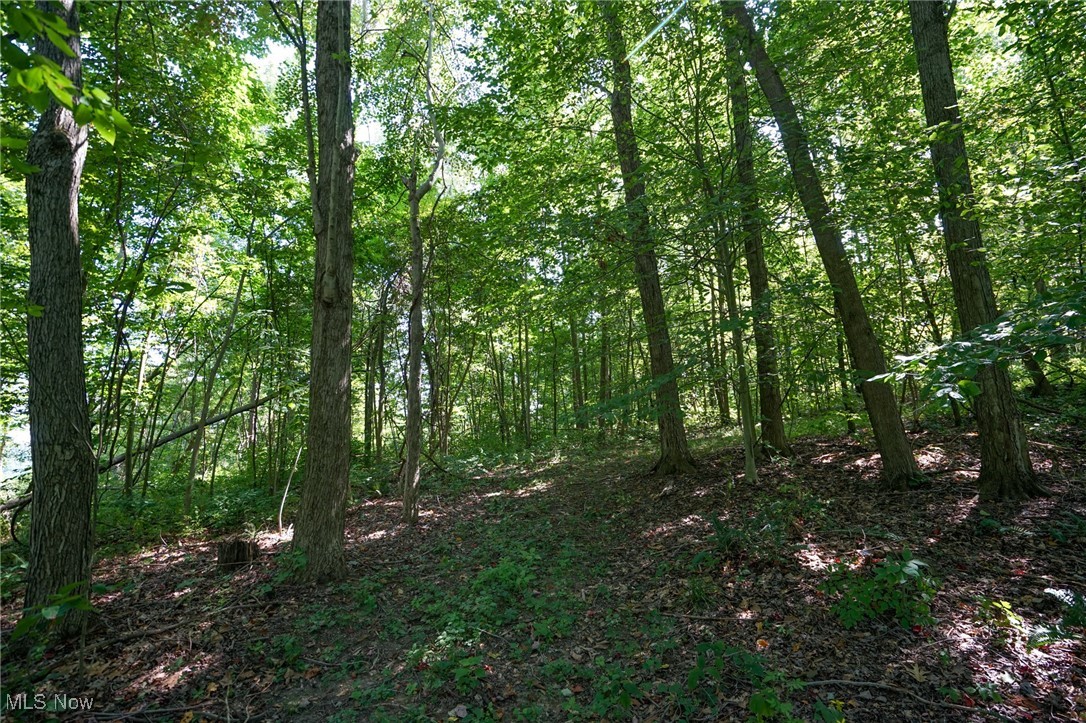 Johnson Run Road Kimbolton, OH 43749 - Photo 21 of 36 View of landscape