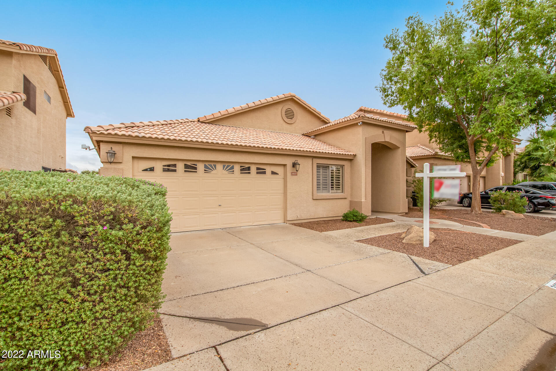 3937 E. Agave