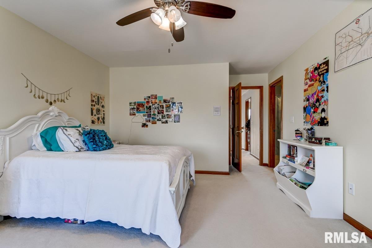 4409 Turtle Bay Springfield, IL 62711 - Photo 28 of 50