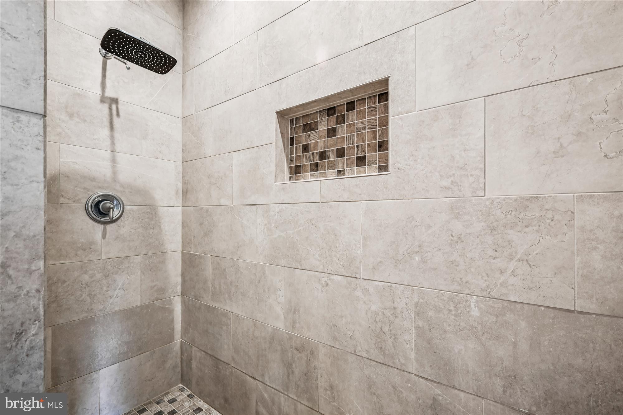 17753 Marvel Road Marydel, MD 21649 - Photo 11 of 65 Primary walk in shower