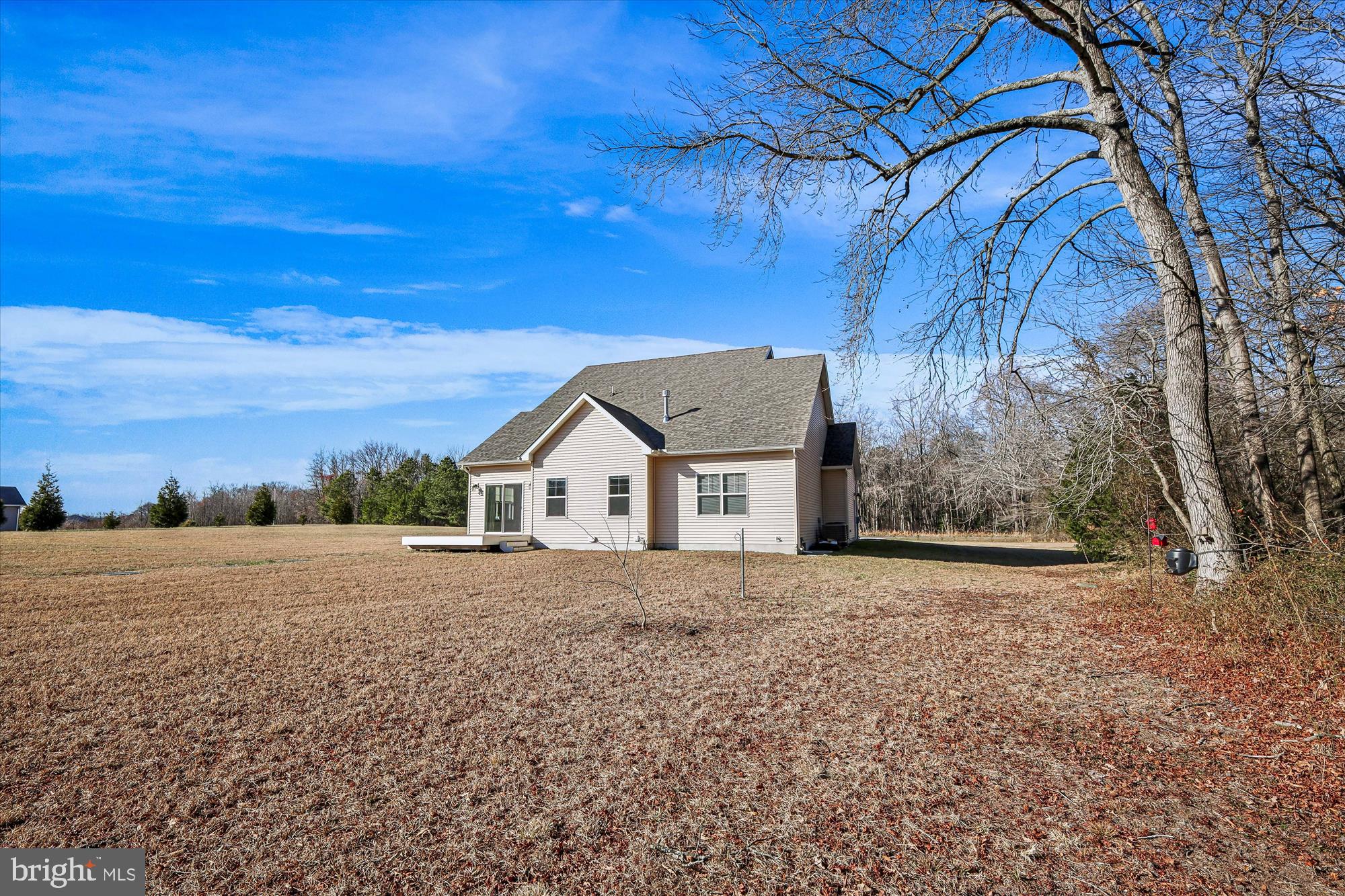 17753 Marvel Road Marydel, MD 21649 - Photo 29 of 65 look at house from the rear of yard