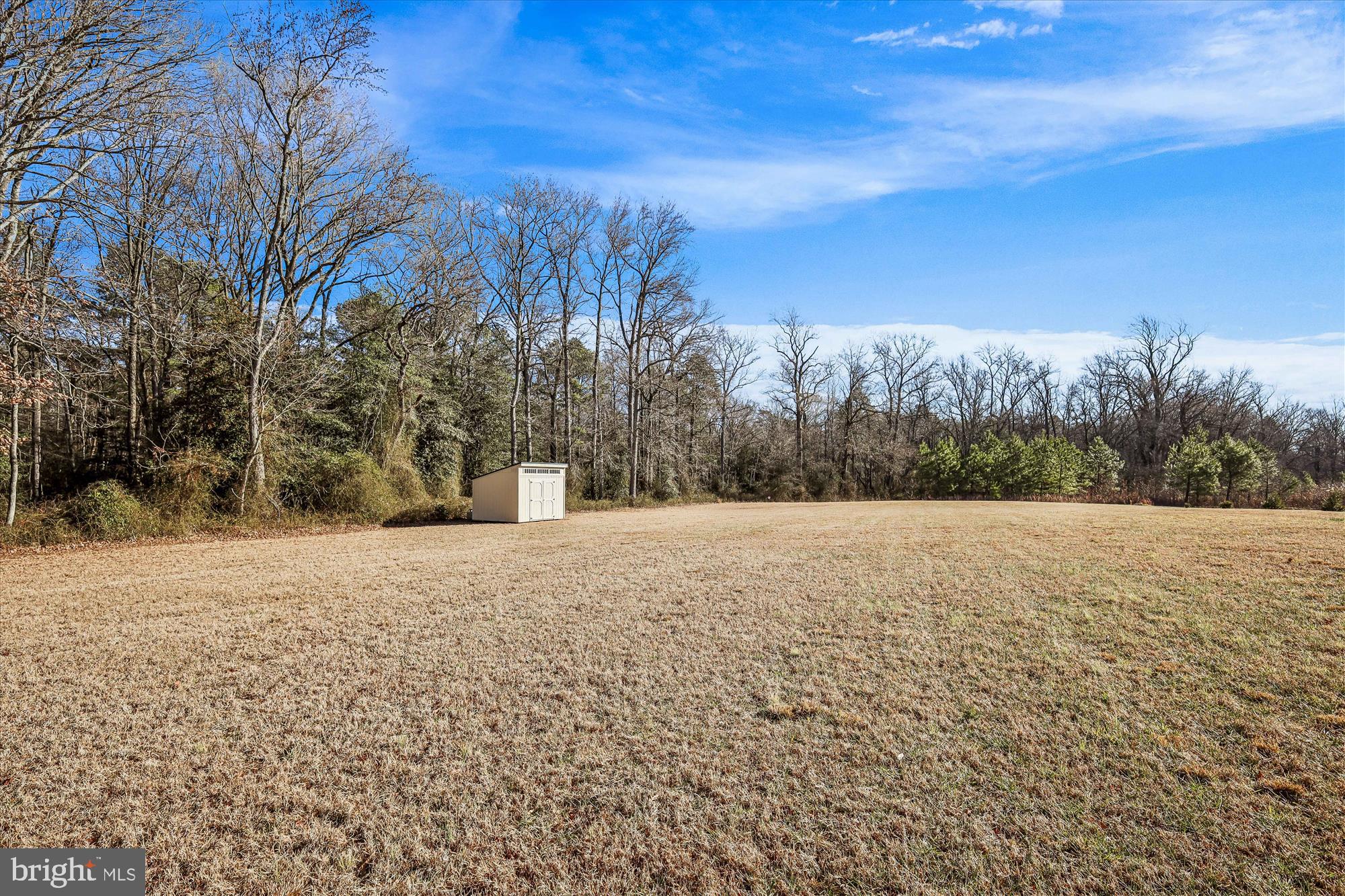 17753 Marvel Road Marydel, MD 21649 - Photo 31 of 65 Rear yard view from deck