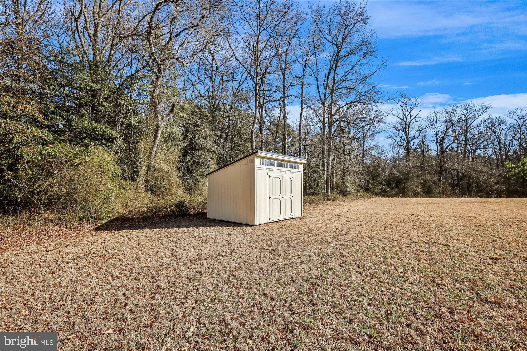 17753 Marvel Road Marydel, MD 21649 - Photo 32 of 65 Newer shed in the backyard