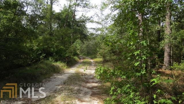 0 Area Line Road Claxton, GA 30417 - Photo 11 of 11