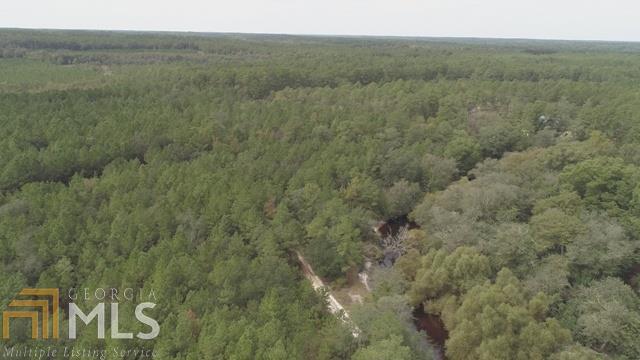 0 Area Line Road Claxton, GA 30417 - Photo 2 of 11 a view of a field with trees in background