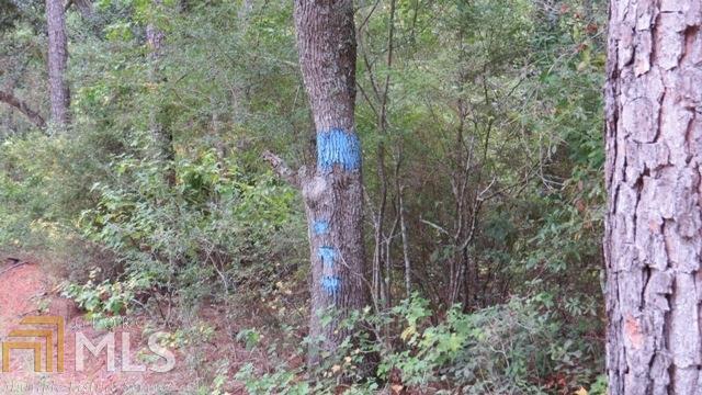 0 Area Line Road Claxton, GA 30417 - Photo 5 of 11 a view of a yard with a tree
