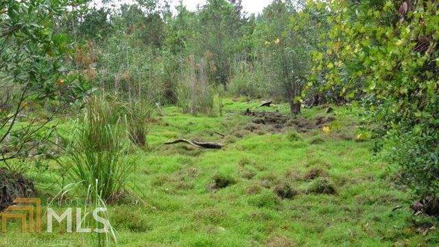 0 Area Line Road Claxton, GA 30417 - Photo 6 of 11 a view of a lush green forest