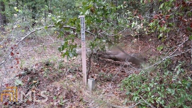 0 Area Line Road Claxton, GA 30417 - Photo 7 of 11 a view of a forest that has a tree