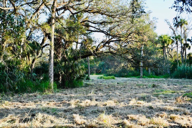 2379 County Road 78 LaBelle, FL 33935 - Photo 1 of 35 a view of a yard with plants and trees