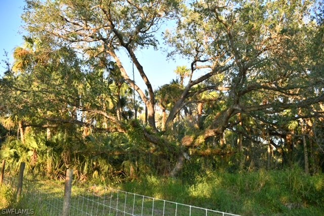 2379 County Road 78 LaBelle, FL 33935 - Photo 11 of 35 a view of a tree next to a tree