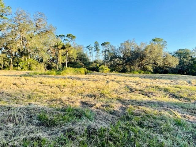 2379 County Road 78 LaBelle, FL 33935 - Photo 12 of 35 a view of a yard with trees