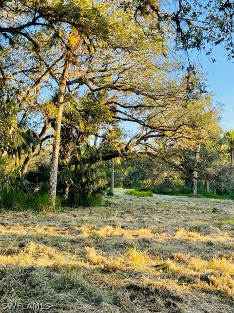 2379 County Road 78 LaBelle, FL 33935 - Photo 13 of 35 a view of a field with a tree