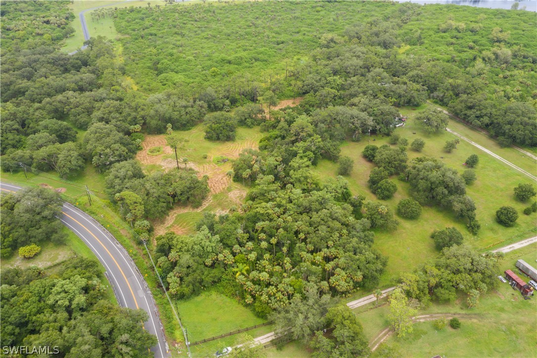 2379 County Road 78 LaBelle, FL 33935 - Photo 22 of 35 a view of a yard with plants and large trees