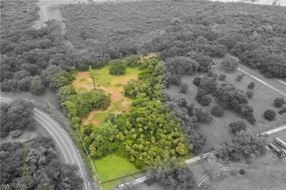 2379 County Road 78 LaBelle, FL 33935 - Photo 23 of 35 a view of a garden with a tree