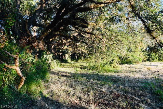 2379 County Road 78 LaBelle, FL 33935 - Photo 3 of 35 a view of a yard with a tree