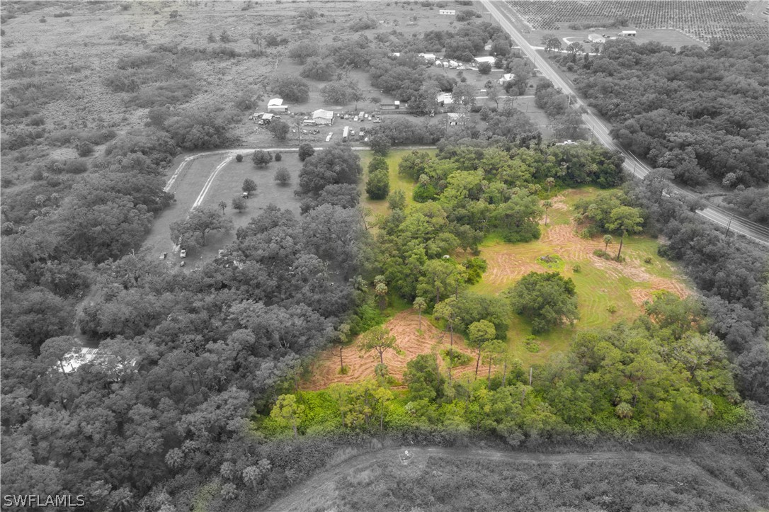 2379 County Road 78 LaBelle, FL 33935 - Photo 33 of 35 a view of a yard with plants and trees