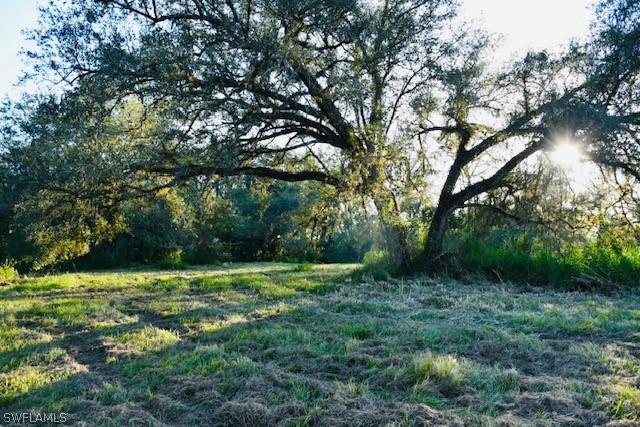 2379 County Road 78 LaBelle, FL 33935 - Photo 4 of 35 a view of a grassy field with trees