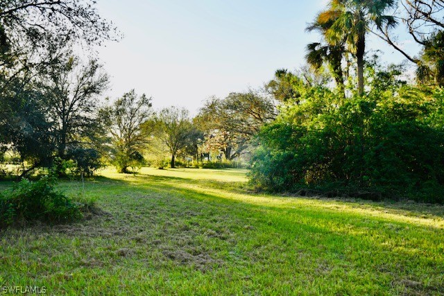2379 County Road 78 LaBelle, FL 33935 - Photo 5 of 35 a view of yard with green space