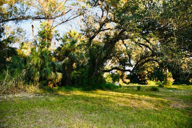 2379 County Road 78 LaBelle, FL 33935 - Photo 6 of 35 a view of yard with green space