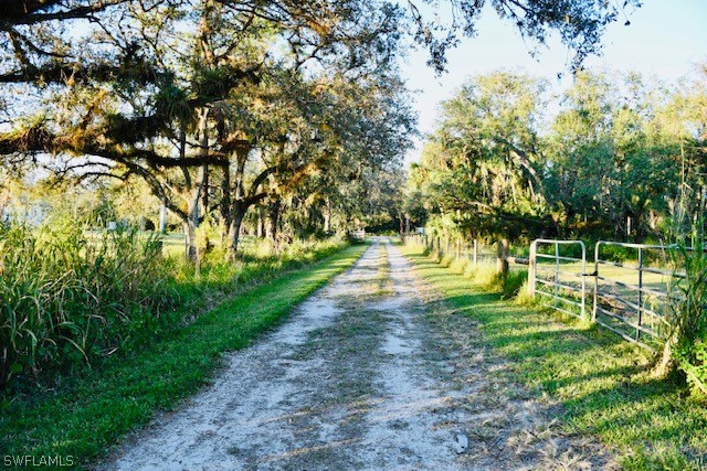 2379 County Road 78 LaBelle, FL 33935 - Photo 7 of 35 a view of yard with green space
