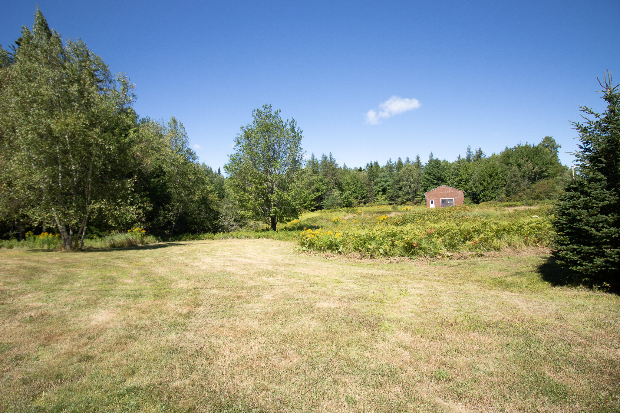 141 Mill River Road Harrington, ME 04643 - Photo 10 of 32 IMG_6843