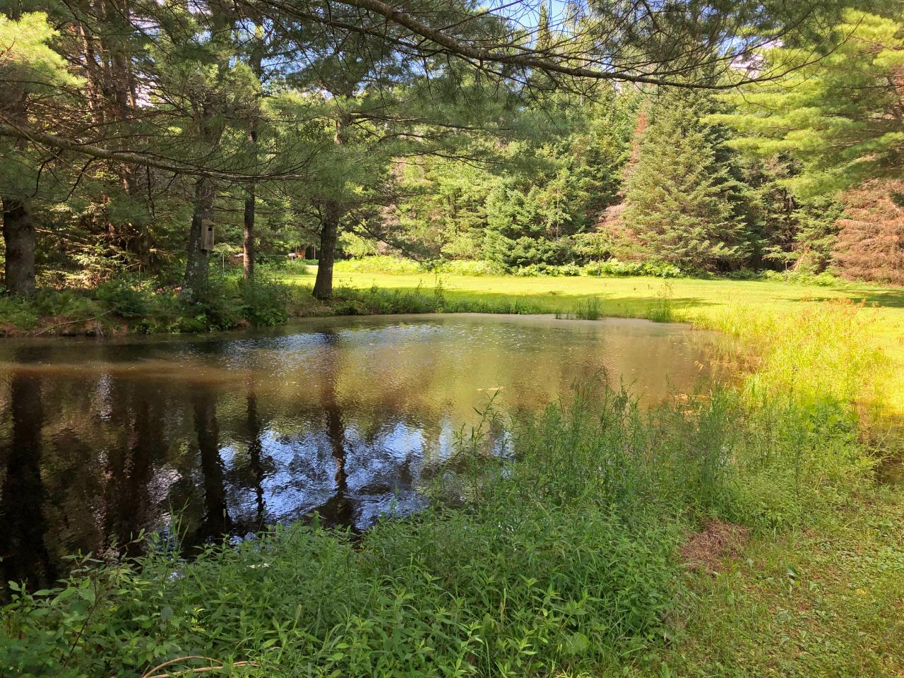 5794 North Jennie Webber Lake Road Rhinelander, WI 54501 - Photo 42 of 48 Gallery Image 42