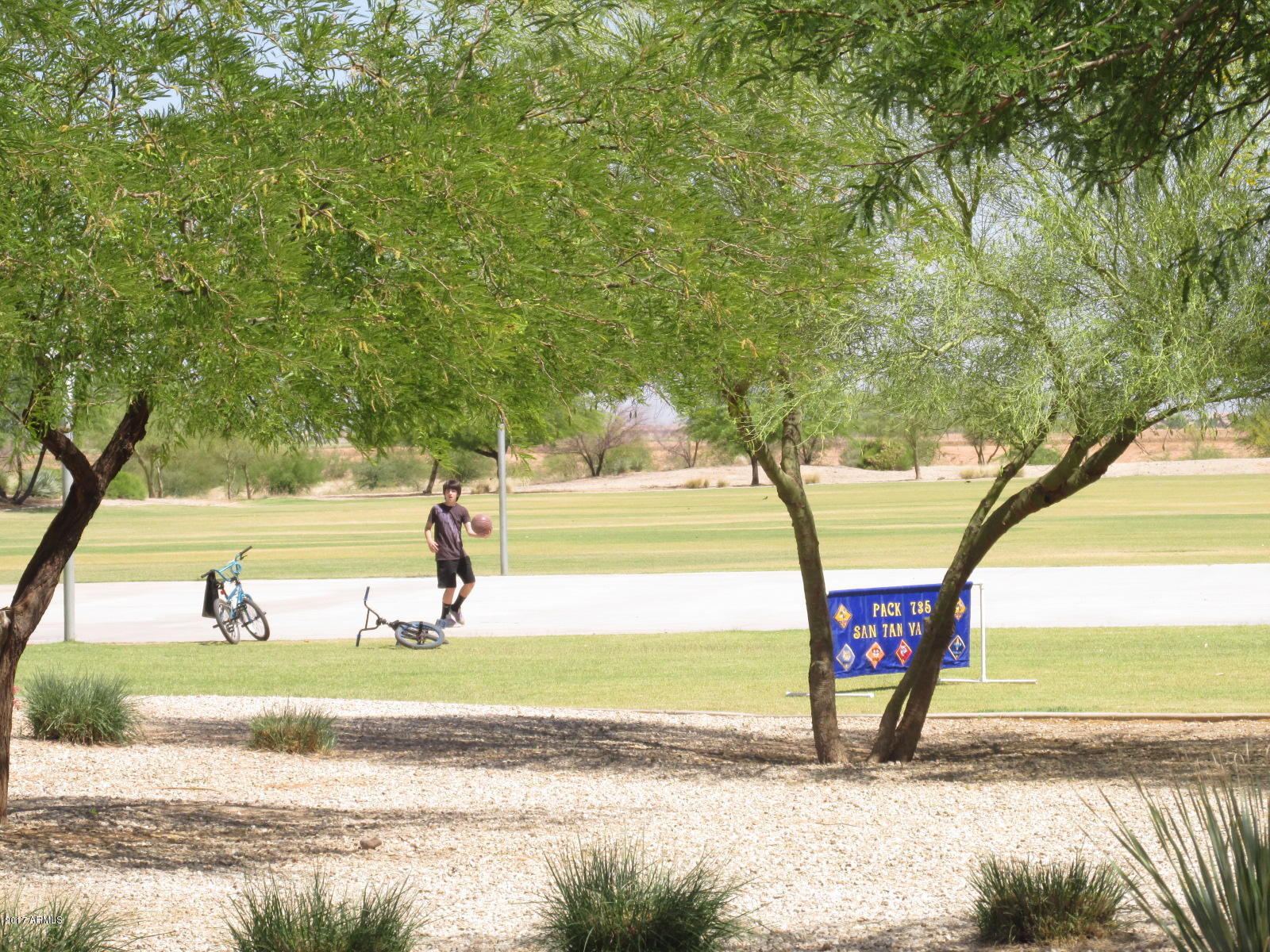 4615 East Silverbell Road San Tan Valley, AZ 85143 - Photo 52 of 53 IMG_5235