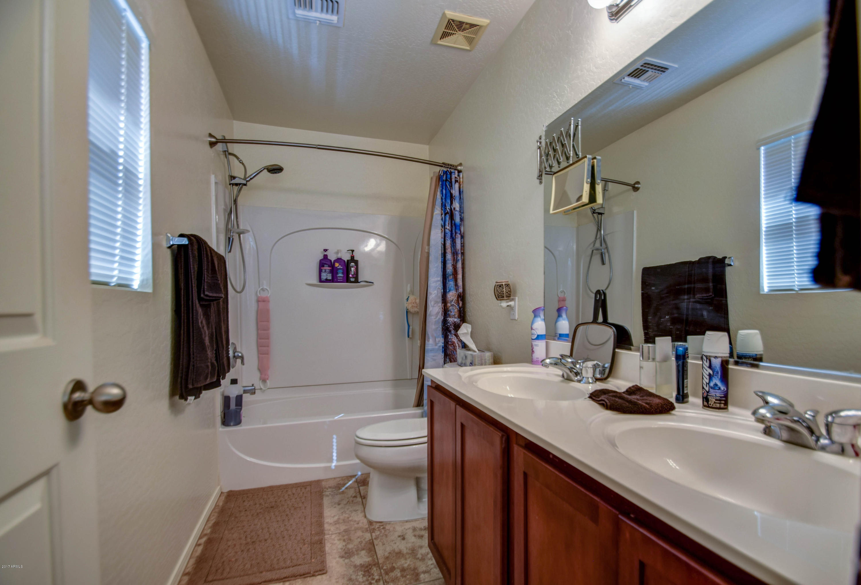 4615 East Silverbell Road San Tan Valley, AZ 85143 - Photo 9 of 53 master bath 1