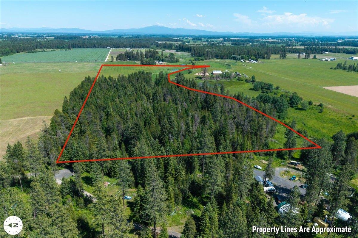 4668 Williams Valley Road Clayton, WA 99110 - Photo 10 of 44