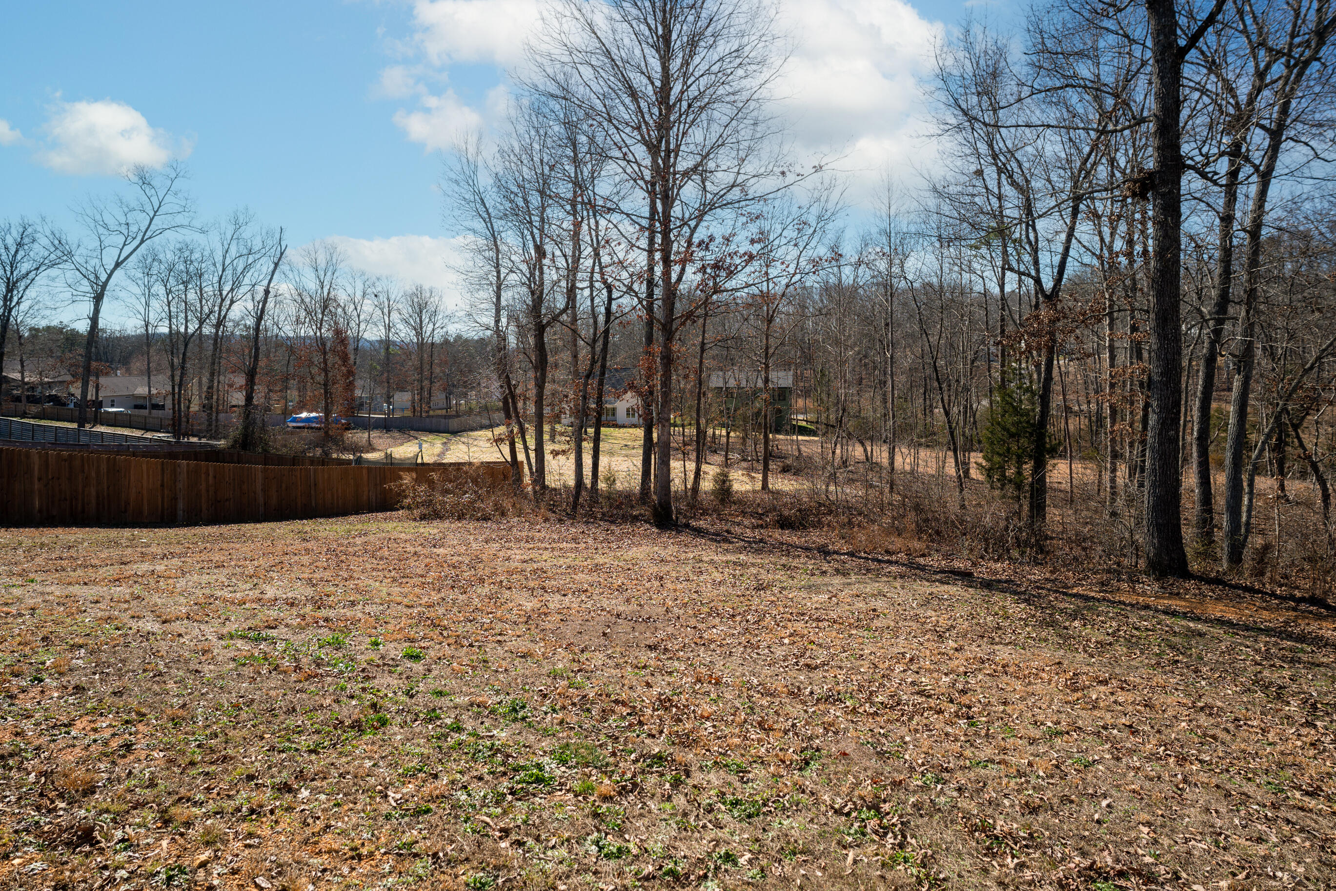 7532 Grasshopper Road Georgetown, TN 37336 - Photo 42 of 48 _DSC2540-Edit