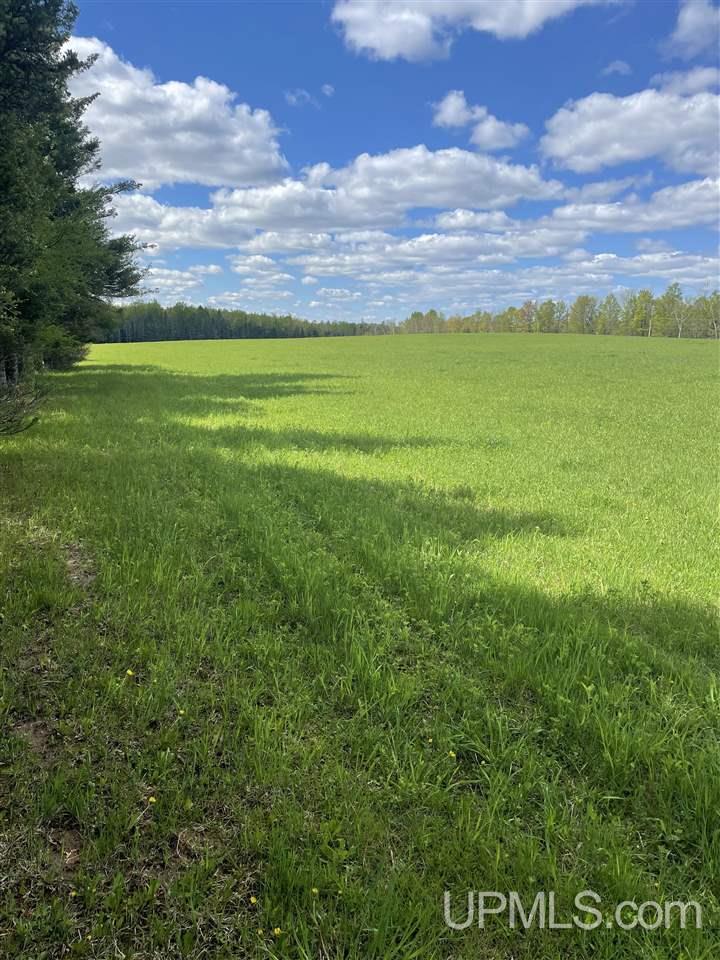 N19598 Swede Road Perronville, MI 49873 - Photo 20 of 59