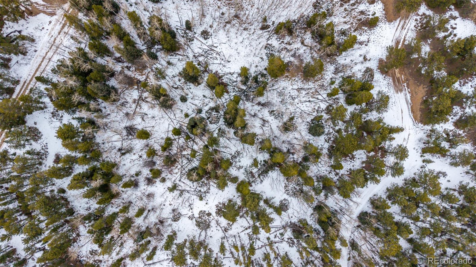 190 Hard Way Road Ward, CO 80481 - Photo 18 of 29