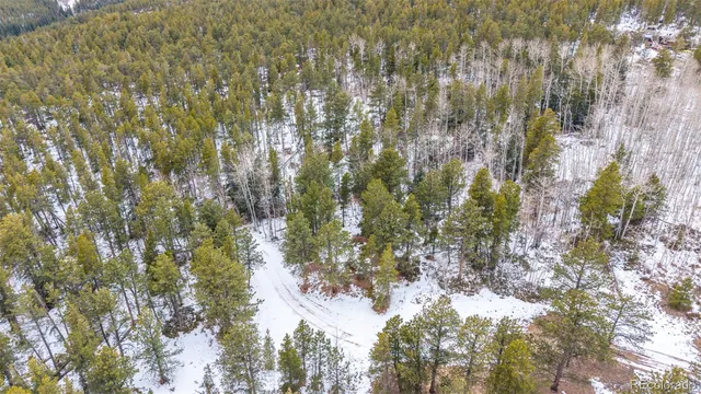 a view of outdoor space with trees