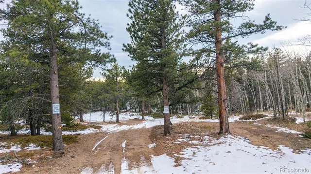 a view of outdoor space with trees
