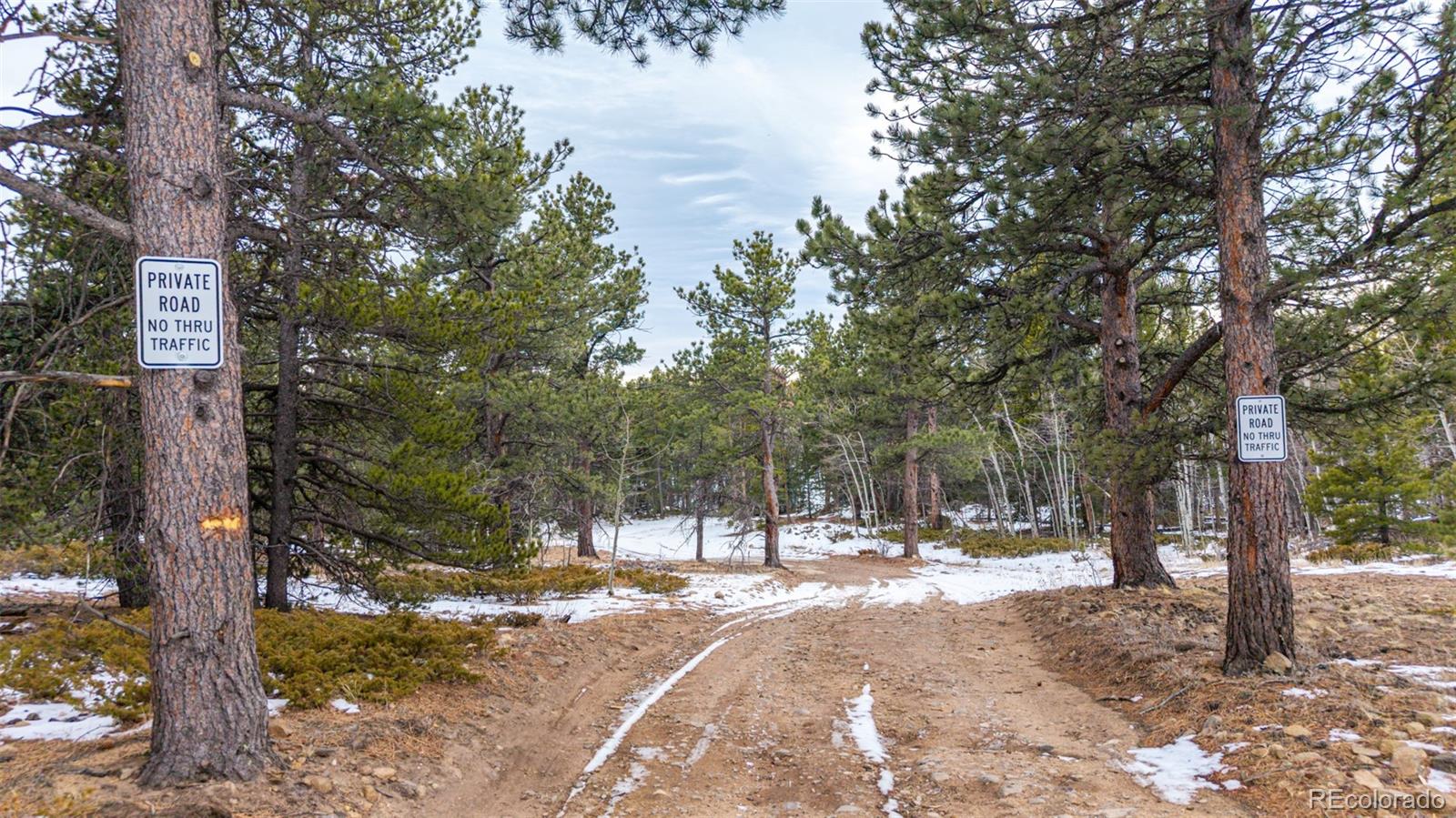 190 Hard Way Road Ward, CO 80481 - Photo 23 of 29 a view of outdoor space with trees