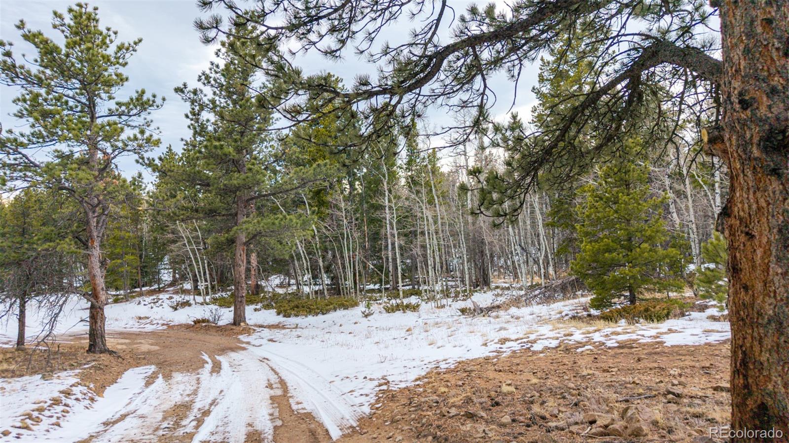 190 Hard Way Road Ward, CO 80481 - Photo 24 of 29 a view of outdoor space with trees