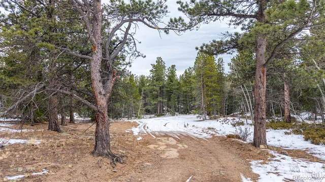 a view of a yard with snow on the road
