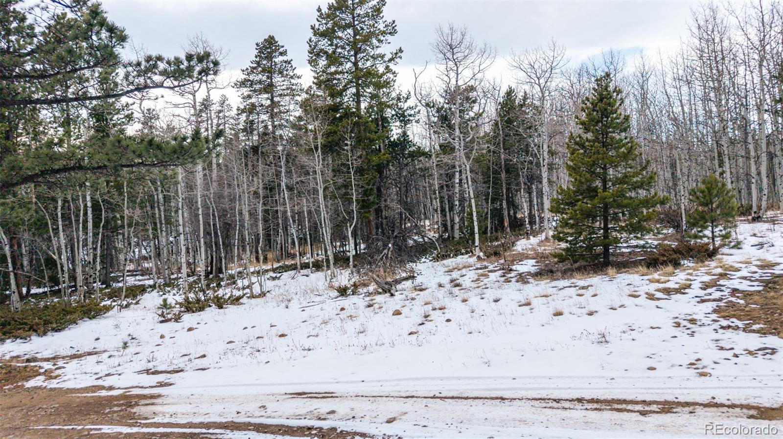 190 Hard Way Road Ward, CO 80481 - Photo 26 of 29 a view of wooden fence and trees